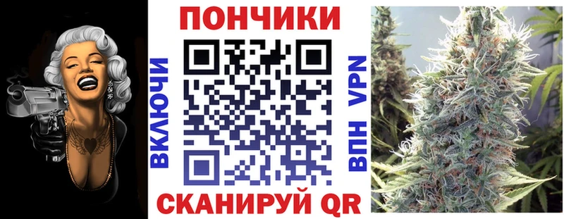 Купить закладку LSD-25  Alpha PVP  Гашиш  Меф  Кокаин  Анадырь