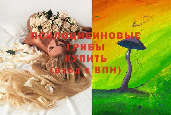 mdpv Армянск