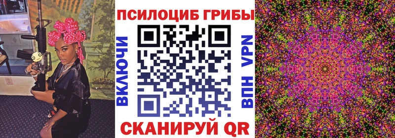 Псилоцибиновые грибы Psilocybe  Купить  Анадырь 