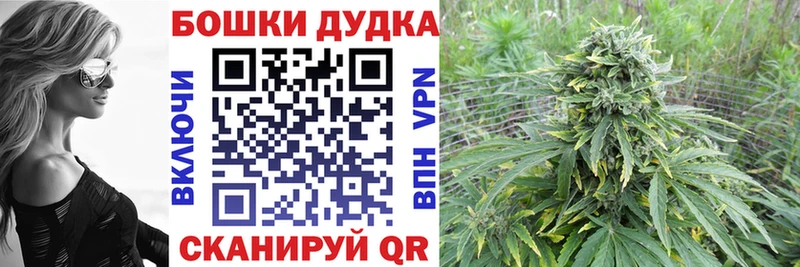 Купить закладки  Анадырь  Бошки марихуана конопля 